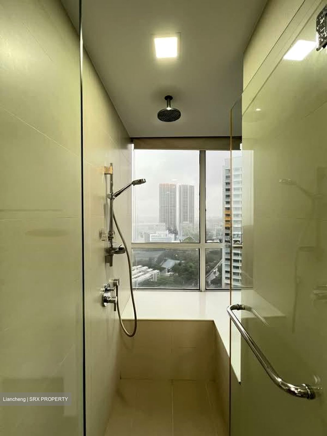 The Regency At Tiong Bahru (D3), Condominium #574789131